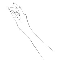 Women hand. Vector illustration