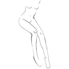 Women body. Vector illustration