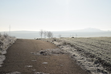 Straße durch dichte Nebelbank