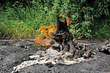 Active mud (clay and bitumen) volcano on the outskirts of the village Starunja in Carpathian. Burning natural gas in old oil well.The deposits of mineral wax.