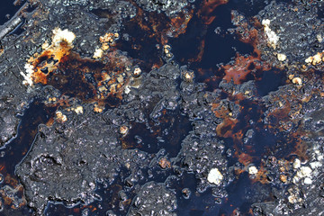 Fototapeta na wymiar Abstract background. Spills of crude oil on the soil surface - environment pollution, selective focus.