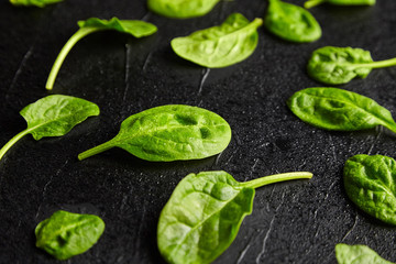 Spinach green fresh leaves with water drops on a black background