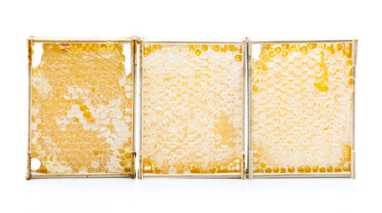 Honeycombs in a wooden frame on a white background