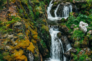 Scenic landscape with beautiful waterfall in forest among rich vegetation. Clear spring water flows from mountainside. Atmospheric woody scenery with mountain creek. Wild plants and mosses on rocks.