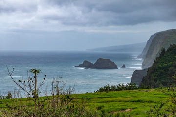 Kohala, Hawaii, USA. - January 15, 2020: Coastline where Pololu valley and its water meets the ocean. Big rocks, tall steep cliffs, green forests and meadow up front, all under heavy blueish cloudscap