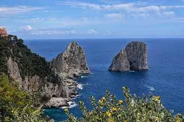 Fotobehang typical rocks in the water and nature Capri island in Italy photography © martin951