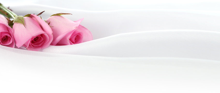 Pink Rose flower bouquet. Wedding horizontal background.