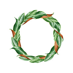 Fototapeta premium Magnolia leaf wreath watercolor painted illustration. Hand drawn botanical decoration frame. Green magnolia leaves circle composition. Floral natural wreath wedding decor isolated on white background.