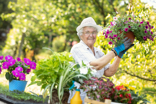 Proud Senior Woman With Blooming Flowers