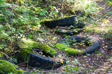 Car tires pollute the forest