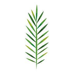 branch with tropical natural leafs isolated icon vector illustration design