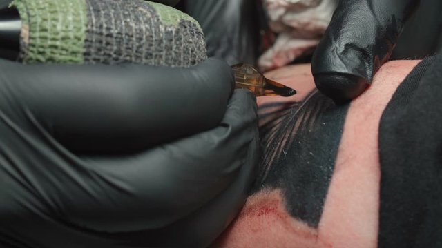 Shooting of tattooist getting black tattoo of snake in studio