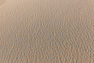 Sand Texture. Background from fine sand. Sand background. selective focus