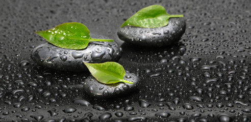 Green leaf and Black stones with drops.