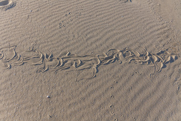 Traces of snake in the sand. Sand Texture. Background from brown sand. selective focus