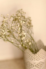 Gypsophila flowers in a white delicate vase. Selective focus.
