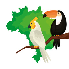 map of brazil with parrot and toucan isolated icon vector illustration design