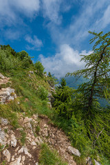 Fragment of a nice mountain view from the trail at Monte Baldo in Italy.