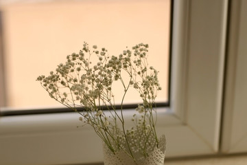     Go to Page|12345...23Next  Gypsophila flowers in a delicate vase, by a window. Selective focus.