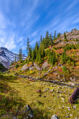 Fragment of a trail in Mount Baker Visitor Center, WA, USA.