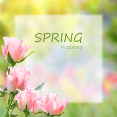 Flower spring postcard witn flowers