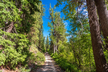 Rocky Mountains. Mountain Trail in Cascades National Park, Washington, USA.