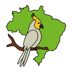 map of brazil with parrot bird isolated icon vector illustration design