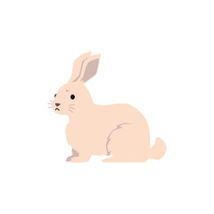 Logo for pets shop or clinic - hare or rabbit, flat vector illustration isolated.