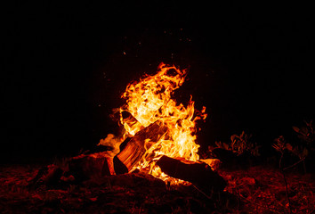 Campfire burning at dark night