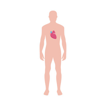 Male body with heart icon infographic vector illustration isolated on white.