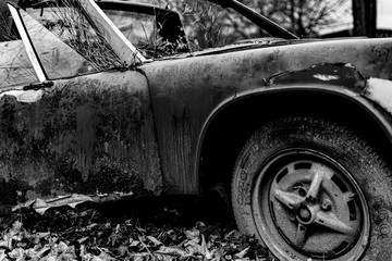 Altes Auto beugt sich der Natur