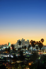 Los Angeles skyline and palm trees in foreground