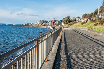 Obraz premium Seagull On Waterfront Fence 2