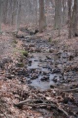 stream