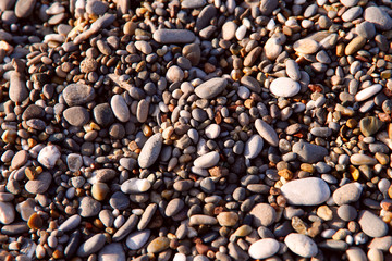 Abstract natural background. View from above on small pebbles. Background texture of sea pebbles of different sizes and different colors. Bright stony background. Close-up, horizontal, cropped shot