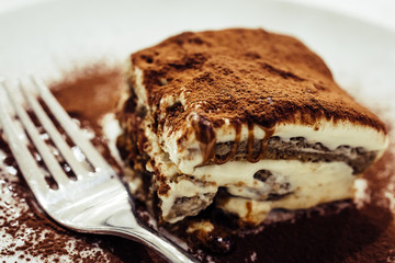 slice of tasty semifreddo creamy cake, with chocolate and coffee