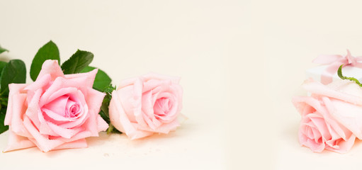 Pink blooming roses on wood