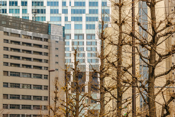 Shibuya District Architecture, Tokyo, Japan