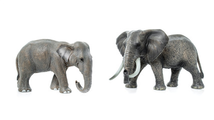 Obraz premium elephant isolated on a white background