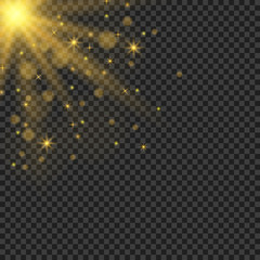 Glowing light particles. Vector Magic decoration