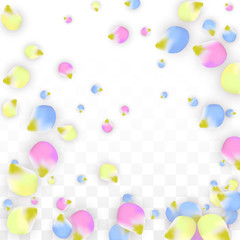 Vector Realistic Colorful Petals Falling on Transparent Background.  Spring Romantic Flowers Illustration. Flying Petals. Sakura Spa Design. Blossom Confetti. Design Elements for Wedding Decoration.