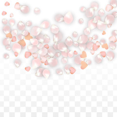 Vector Realistic Petals and Hearts Confetti. Flying Sakura and Hearts on Transparent Background. Wedding Invitation Background. Spring Romance Poster. Vector Illustration for Anniversary Design.