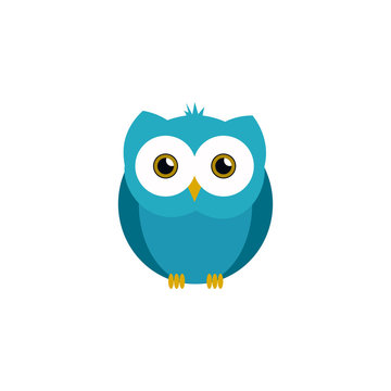 Cute owl illustration in vector. Flat owl illustration on white background