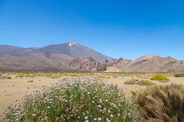 Pico de Teide