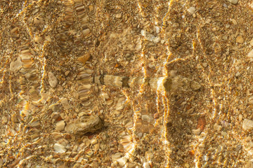 The Synodontidae or lizardfishes are benthic (bottom-dwelling) marine and estuarine bony fishes. Mimicry, a fish hiding in the sand at the bottom of the sea.