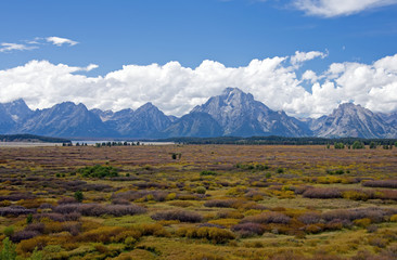 Mountain range and prairie in Grand Tetons National Park