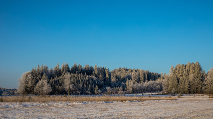 Winterlandschaft