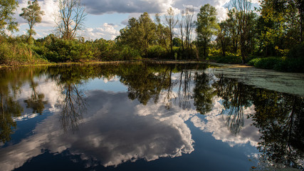 Fototapeta premium Reflection of clouds in the water of a forest lake in the evening.