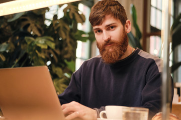 Young handsome bearded man intently looking in camera while working on laptop in cafe