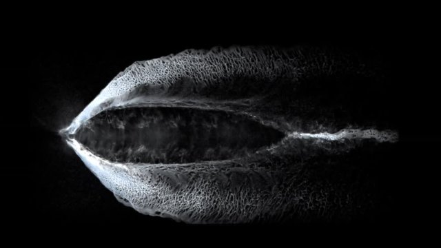 ship wake trail seamless loop texture with alpha, top view, isolated on black